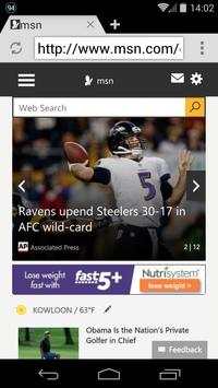Internet Web Browser screenshot 6