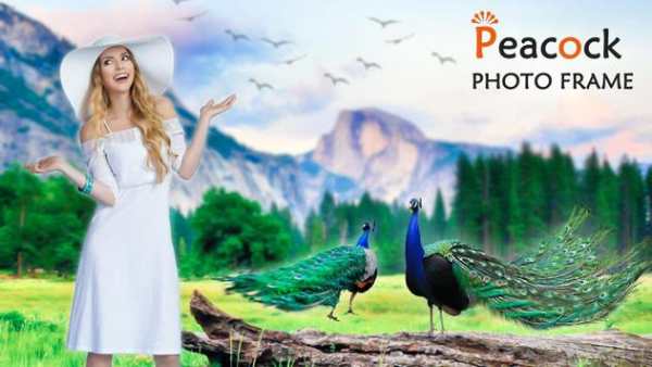 Peacock Photo Frame screenshot 6