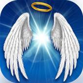 Angel Wings 1.6