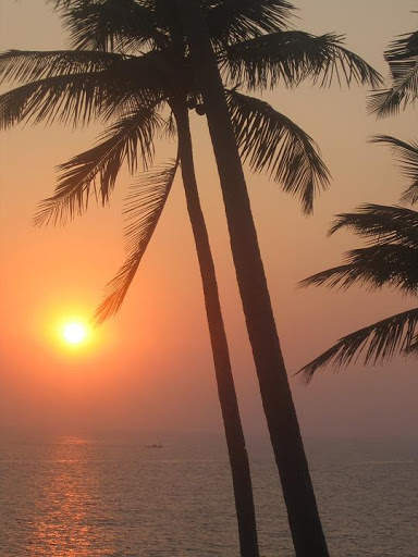 India Wallpaper Travel screenshot 10