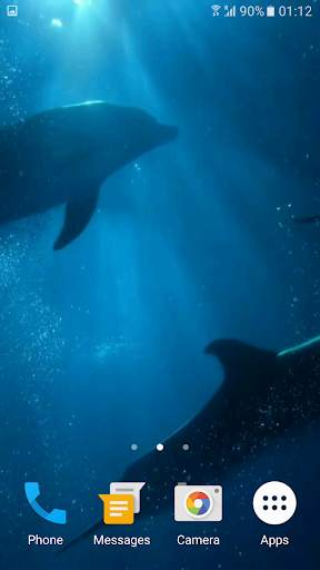 Dolphins 3D Video Wallpaper screenshot 2