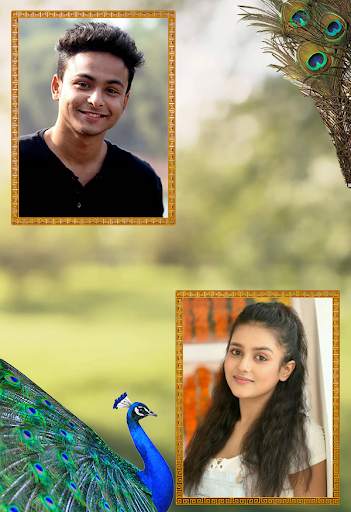 Peacock Dual Frames Photo Album 1 تصوير الشاشة