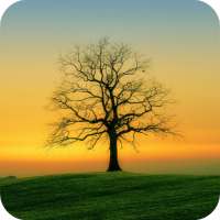 Nature Wallpaper on 9Apps