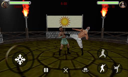 Fight For Glory 3D Combat Game screenshot 3