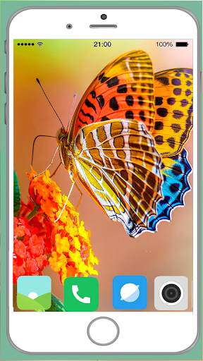 Butterfly Full HD Wallpaper screenshot 16