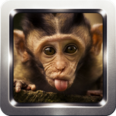 Monkey Sound Collection icon