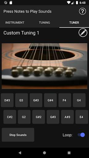 Music Toolkit Free - 12 String Guitar Tuner screenshot 6