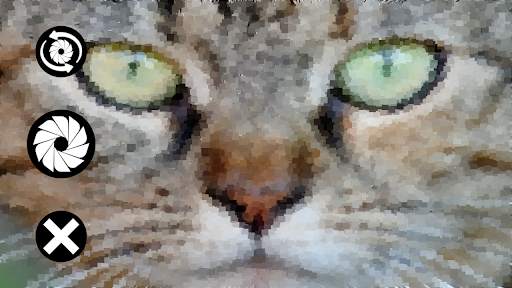 Picasso Camera screenshot 1