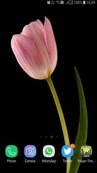 HD Background Flower Wallpaper screenshot 14