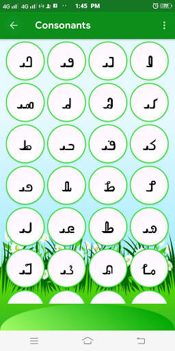 Learn Rohingya Language 4 تصوير الشاشة