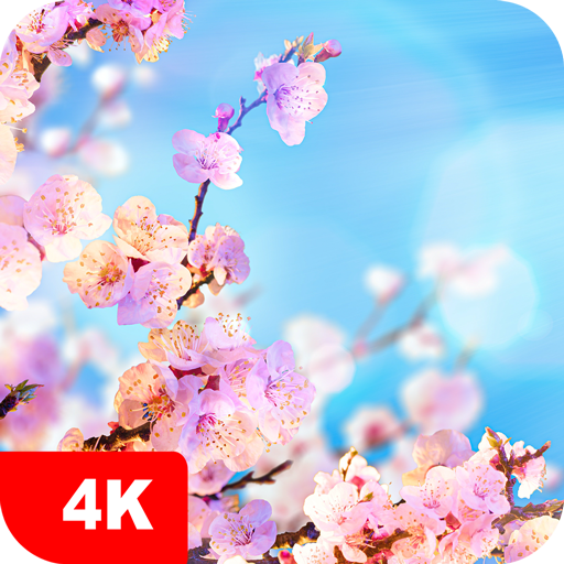 Spring Wallpapers 4K आइकन