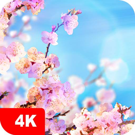 Spring Wallpapers 4K 5.7.0