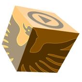 Phoenix TV icon
