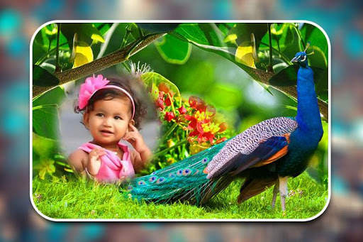 Peacock Photo Frames screenshot 10