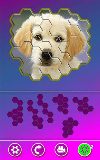 Hexa Jigsaw - Dogs jigsaw puzzle game screenshot 9