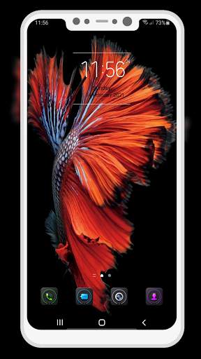 Betta Fish Wallpaper screenshot 7