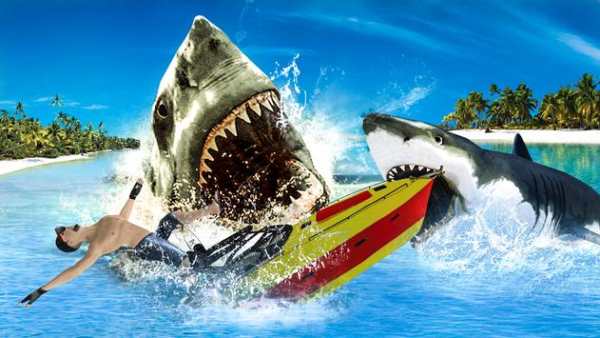 Blue Whale Simulator: Hungry Angry Shark Evolution screenshot 1