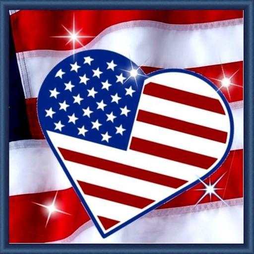USA Flag Live Wallpaper 1.0