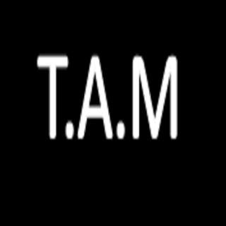 T.A.M(The Automated Messaging App) screenshot 2