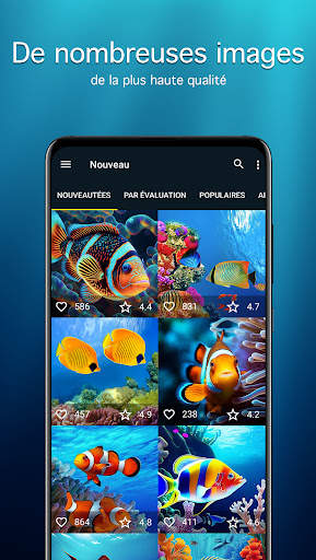Fonds d'écran 4K poissons screenshot 2