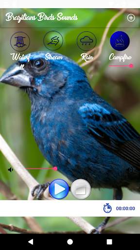 Brazilian's birds sounds screenshot 2