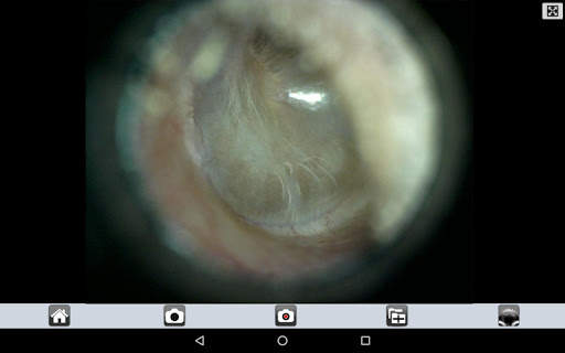 Mic-Fi MED Plus screenshot 4