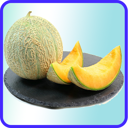 Melon Recipes: Melon salsa, Melon salad icon