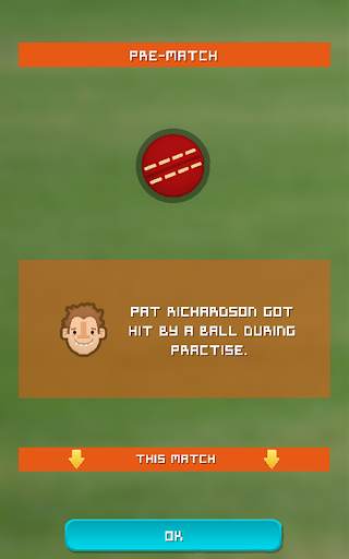 Village Cricket screenshot 13