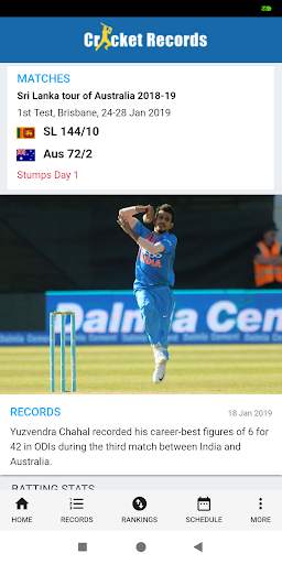 Cricket Records screenshot 1