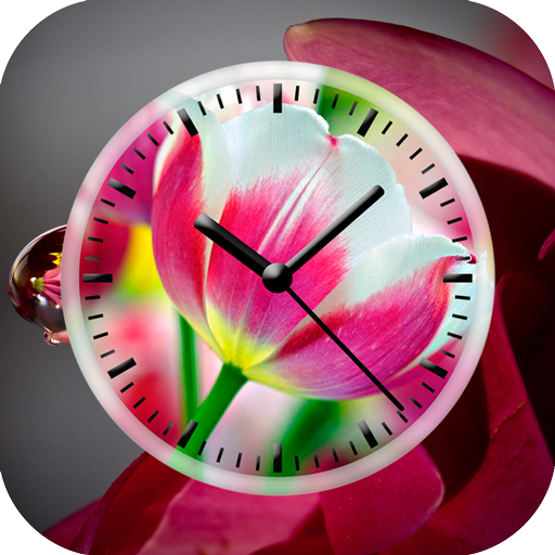 Tulips Clock Live Wallpaper icon