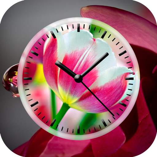 Tulips Clock Live Wallpaper 1.11