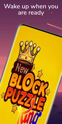 Block Puzzle King 2021 New Game screenshot 1