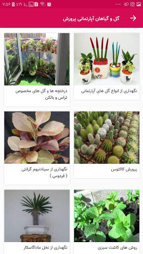 گل و گیاهان اپارتمانی   پرورش و نگهداری screenshot 1