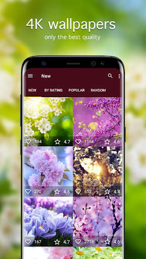 Spring Wallpapers PRO screenshot 1