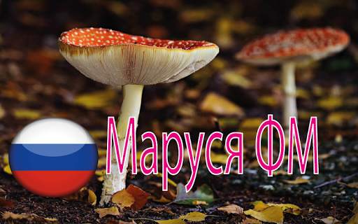 Маруся ФМ скриншот 3