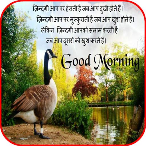 Hindi Good Morning Images 8.0