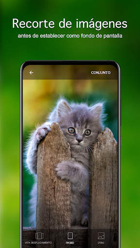Fondos de pantalla con gatitos screenshot 4