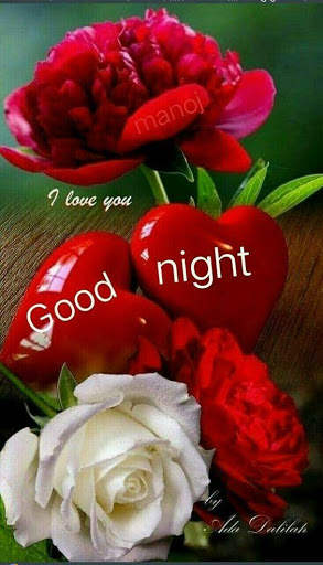 Good Night New Images Gif screenshot 5