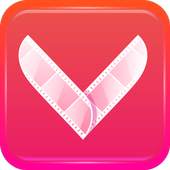 VateMade Video Downloader 8.4.3
