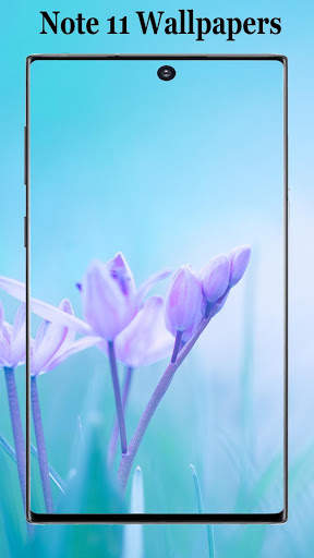 Note 11 Wallpaper screenshot 5