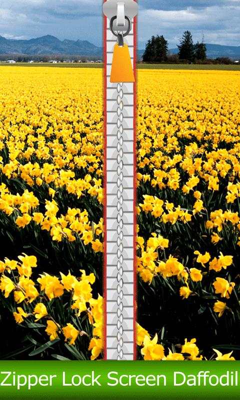 Zipper Lock Screen Daffodil screenshot 1