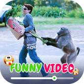 Funny Videos For Whatsapp 1.2