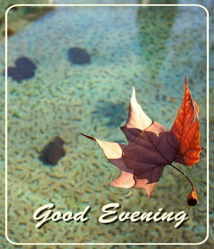 Good Evening screenshot 6