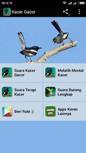Kacer Gacor Masteran screenshot 1