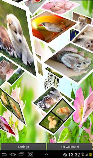 3D Photo Cube Live Wallpaper screenshot 8