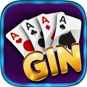 Gin System - 31 Rummy Card Game 0.1