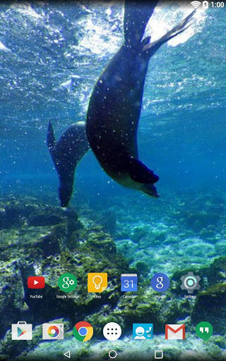Panorama Wallpaper: Diving screenshot 7