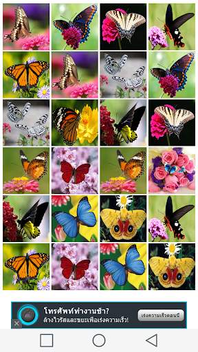 Butterfly Games screenshot 4