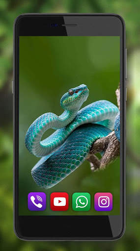 Snakes Best Live Wallpaper screenshot 6