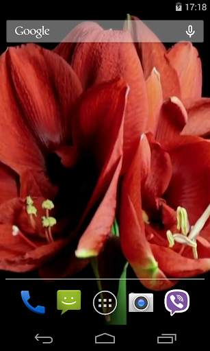Flowers Video Live Wallpaper screenshot 2